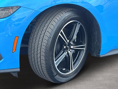 2025 Ford Mustang EcoBoost